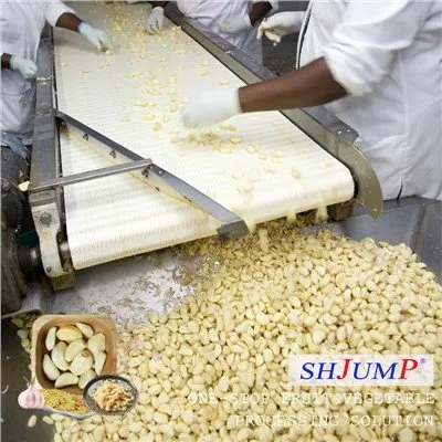 สายการผลิตกระเทียม