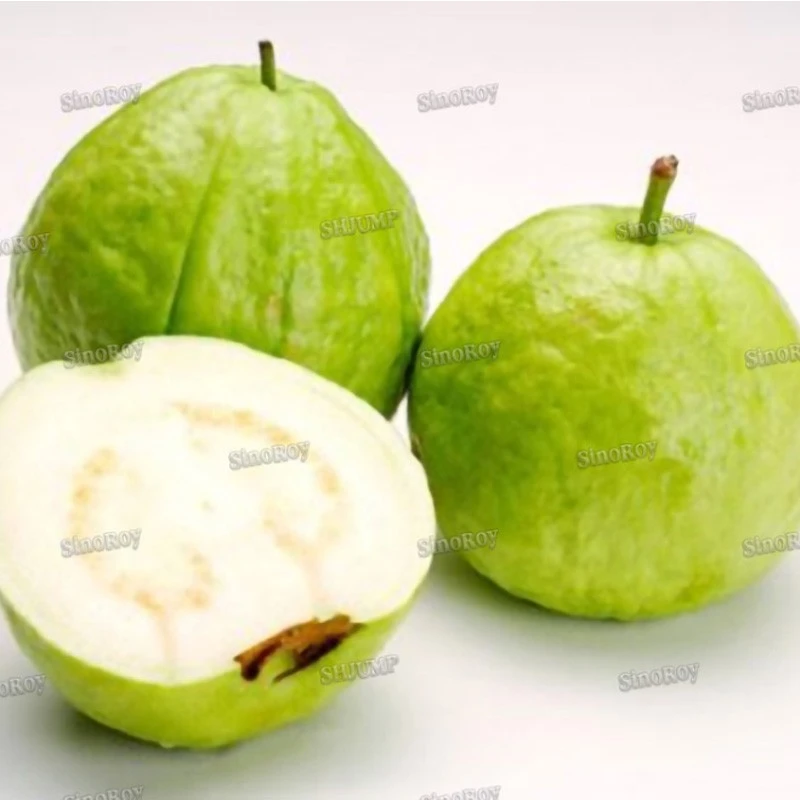 Guava Sauce Processing Line Machine suppliers