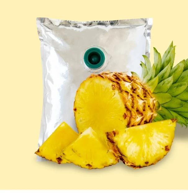 Pineapple Processing Line Puree Product