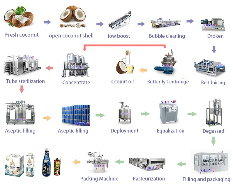 flow chart of coconut flow chart of coconut